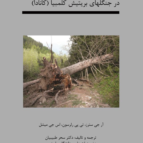 راهنمای شناخت باد افتادگی